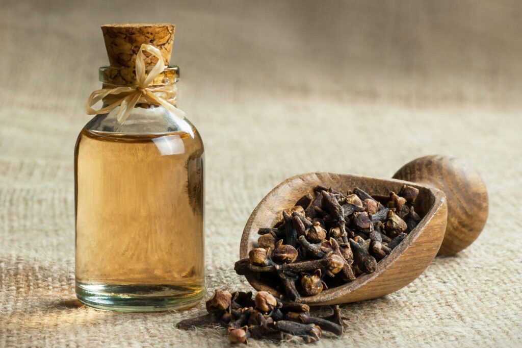 Clove essential oil