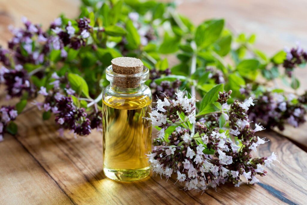 Oregano essential oil