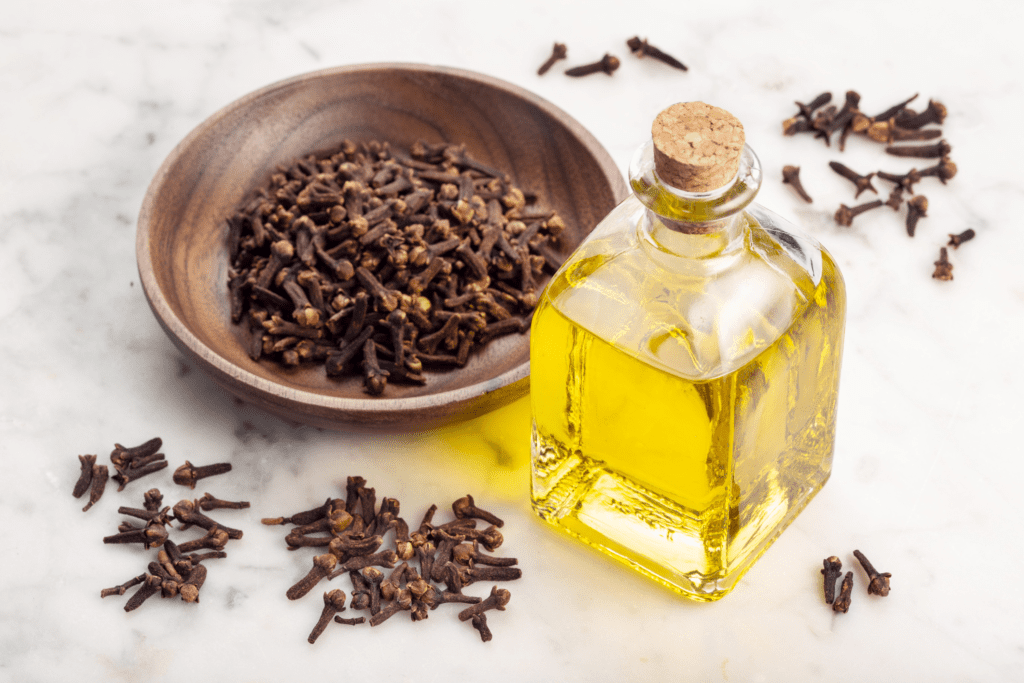 Clove Oil